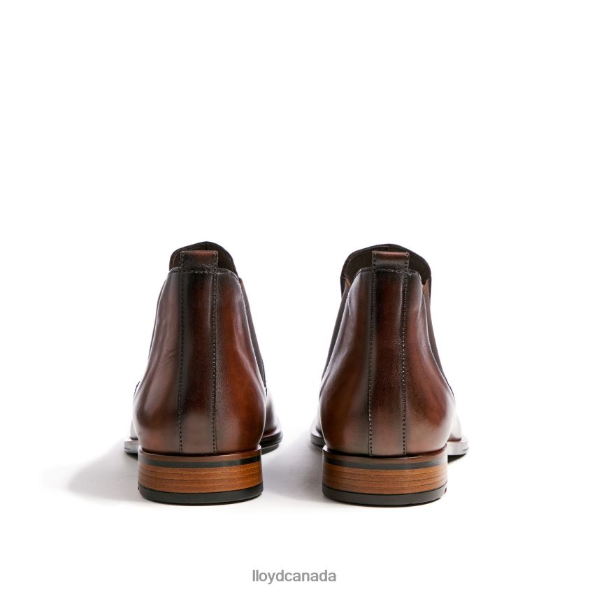 SCOUT LLOYD Men brown R084ZF239 Shoes