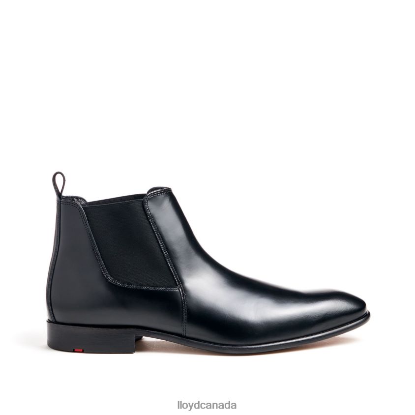 SHERMAN LLOYD Men black R084ZF454 Shoes
