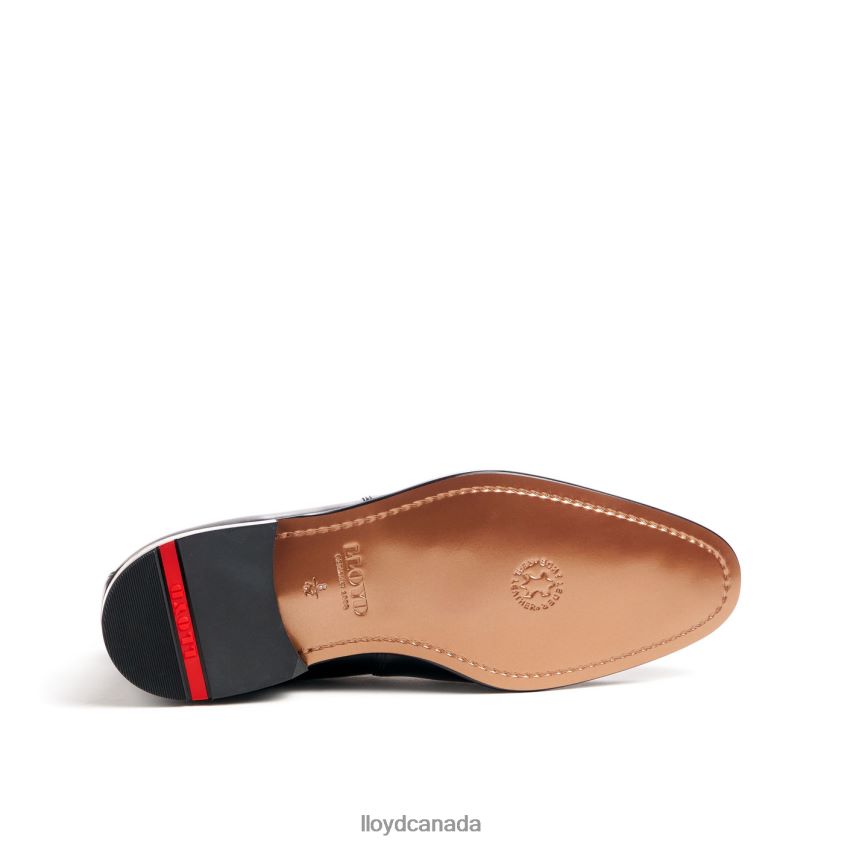SHERMAN LLOYD Men black R084ZF454 Shoes
