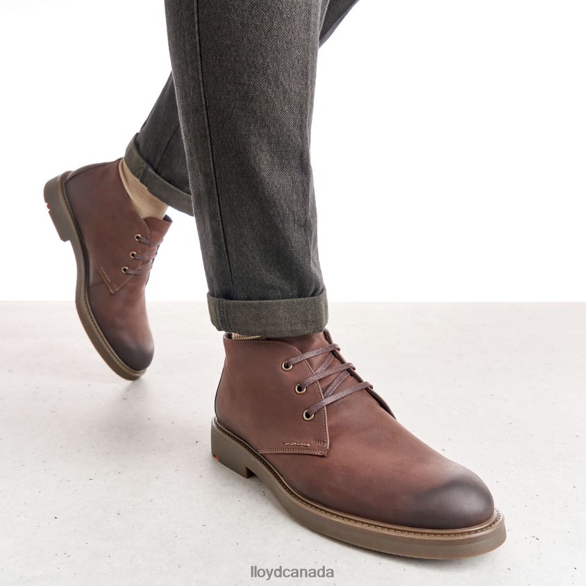 SKAL LLOYD Men brown R084ZF6 Shoes