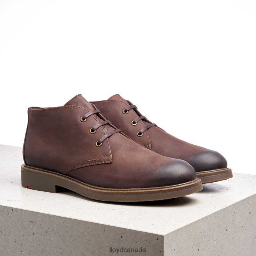 SKAL LLOYD Men brown R084ZF6 Shoes