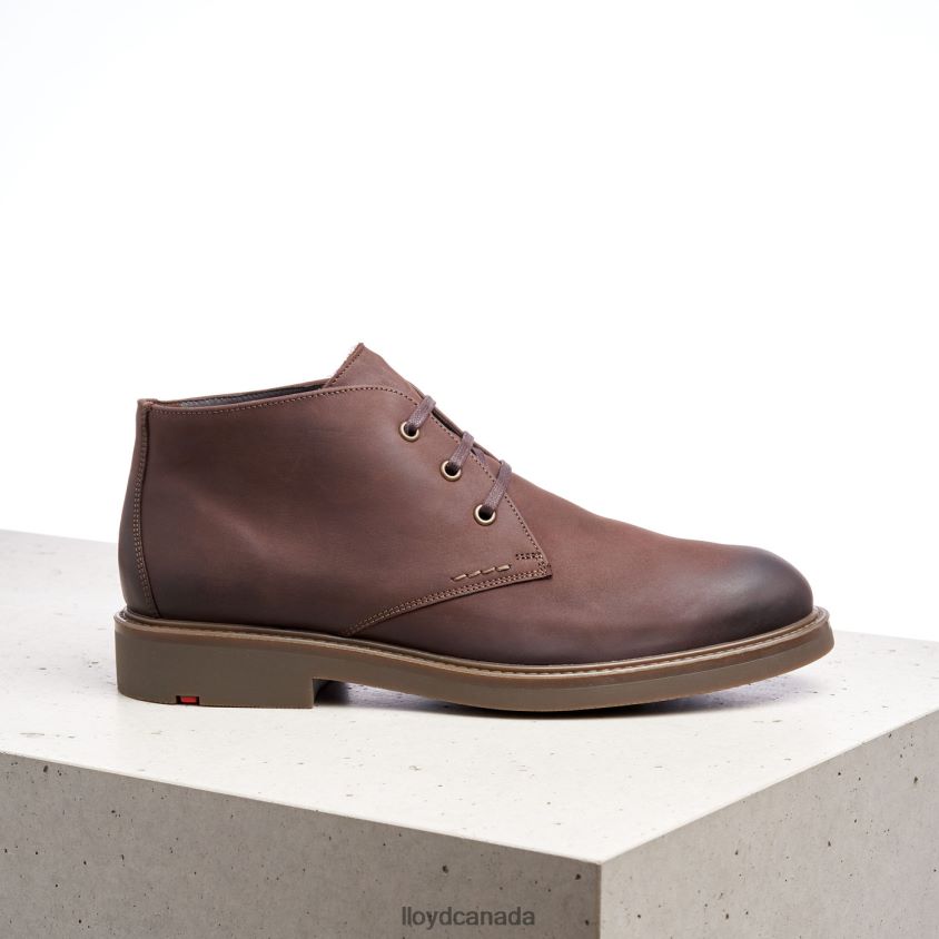 SKAL LLOYD Men brown R084ZF6 Shoes