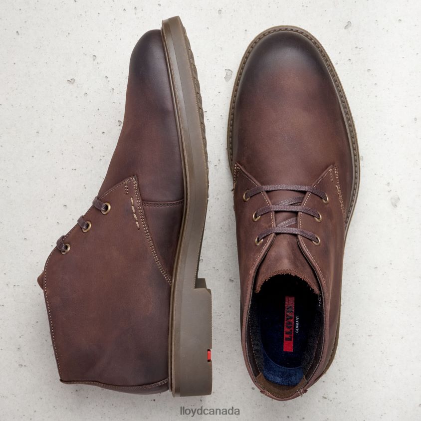SKAL LLOYD Men brown R084ZF6 Shoes