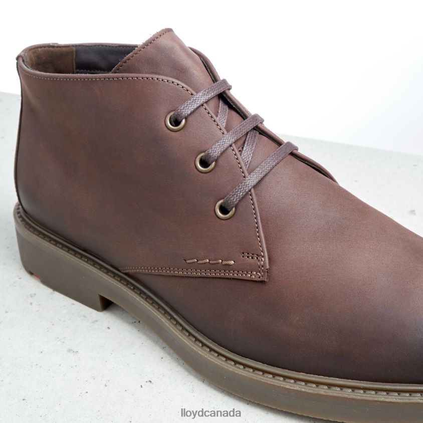 SKAL LLOYD Men brown R084ZF6 Shoes