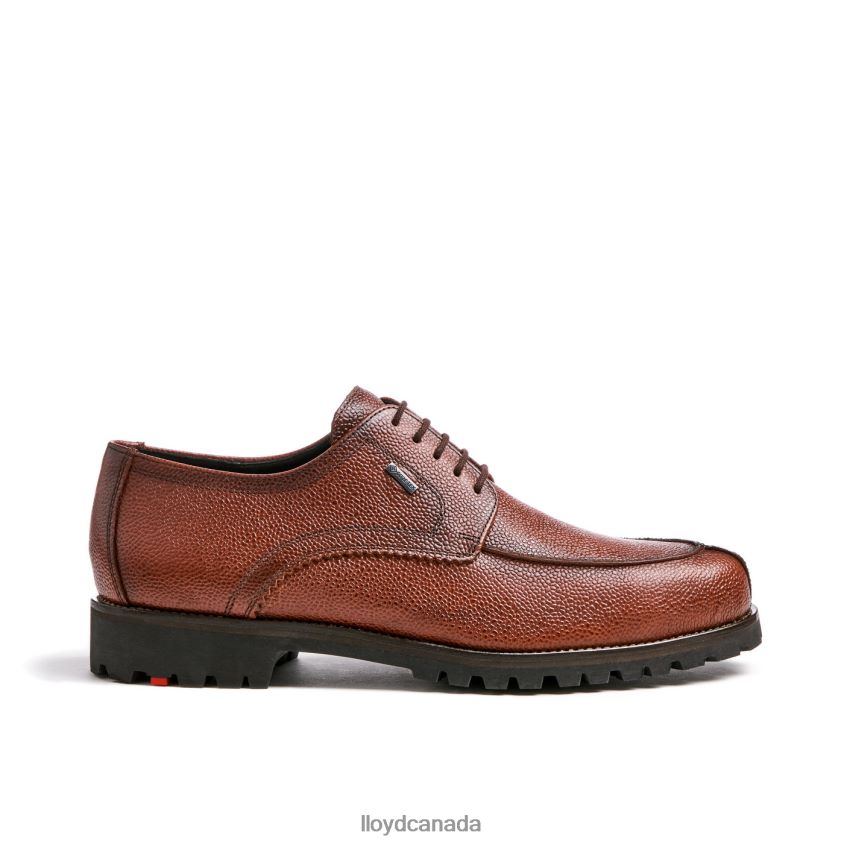 VALDEZ LLOYD Men brown R084ZF161 Shoes