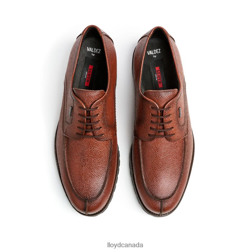 VALDEZ LLOYD Men brown R084ZF161 Shoes