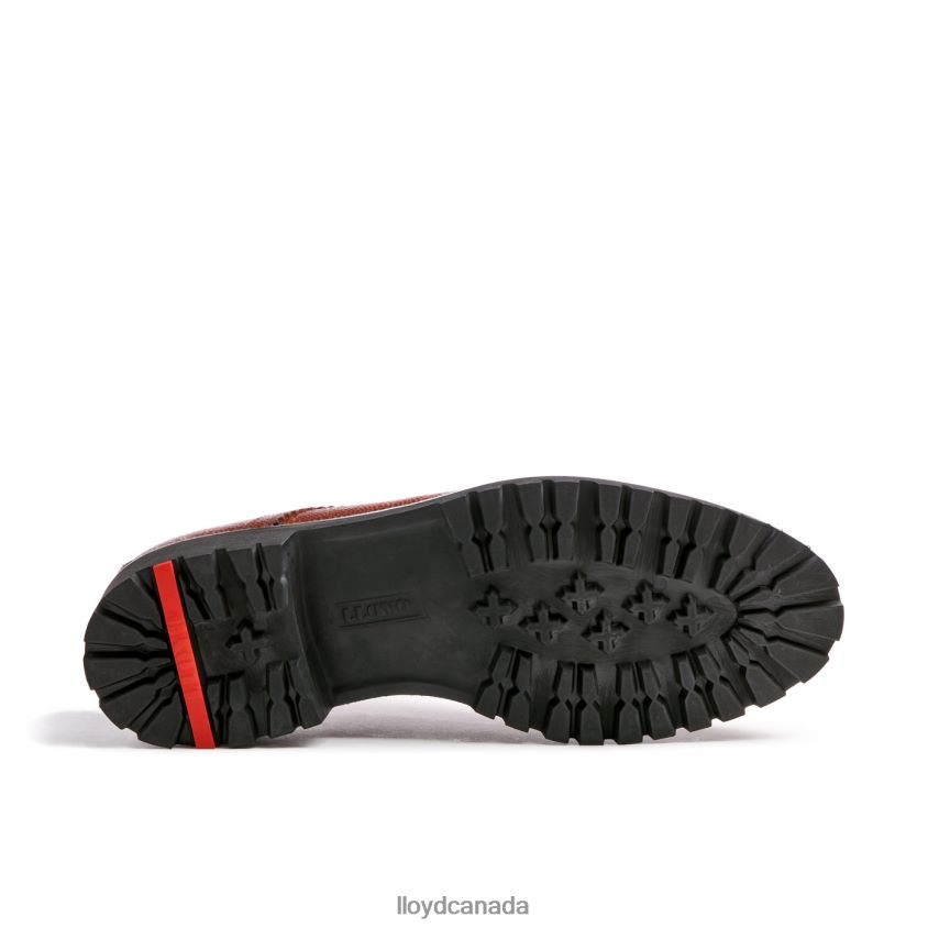 VALDEZ LLOYD Men brown R084ZF161 Shoes