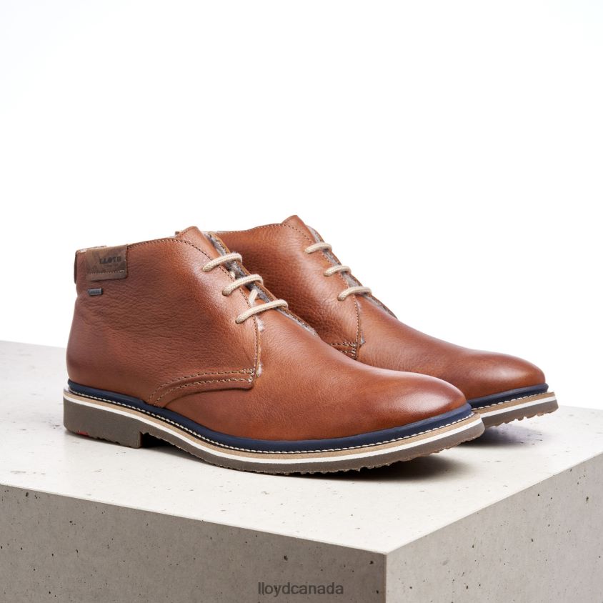 VALENCIA LLOYD Men brown R084ZF507 Shoes