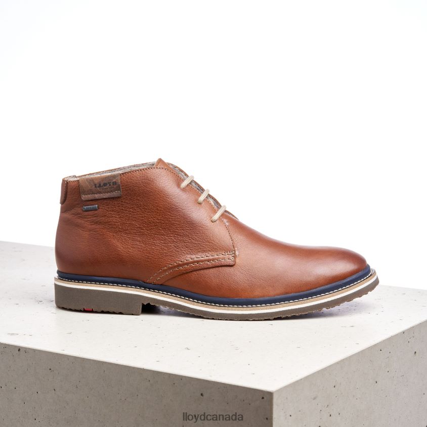 VALENCIA LLOYD Men brown R084ZF507 Shoes