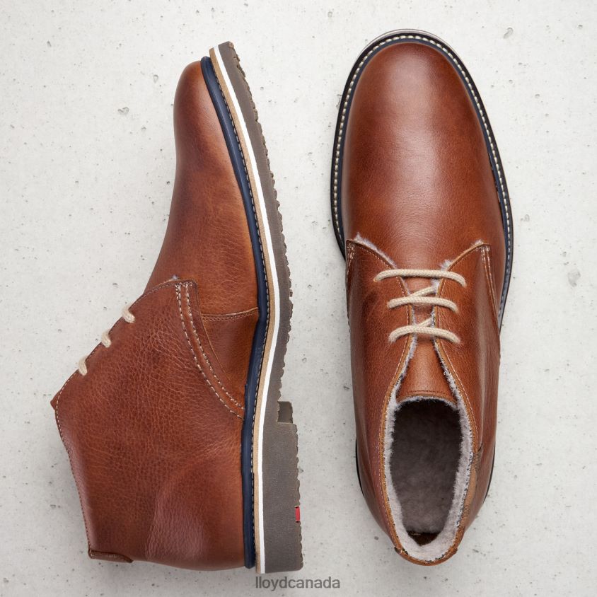 VALENCIA LLOYD Men brown R084ZF507 Shoes