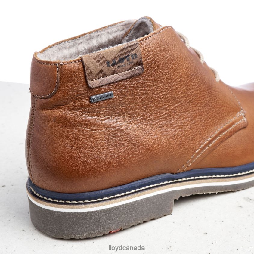 VALENCIA LLOYD Men brown R084ZF507 Shoes