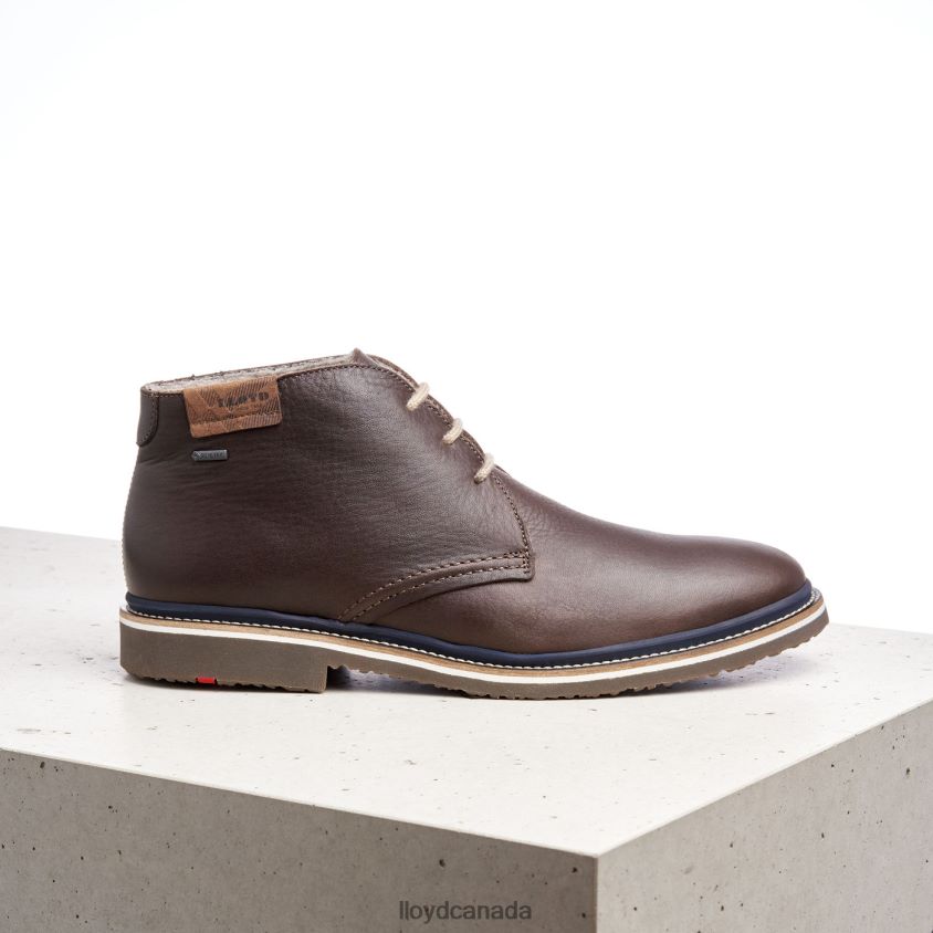 VALENCIA LLOYD Men brown R084ZF508 Shoes