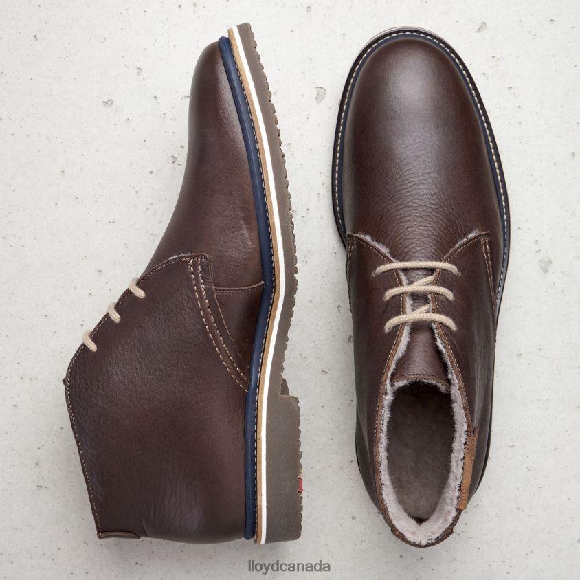 VALENCIA LLOYD Men brown R084ZF508 Shoes