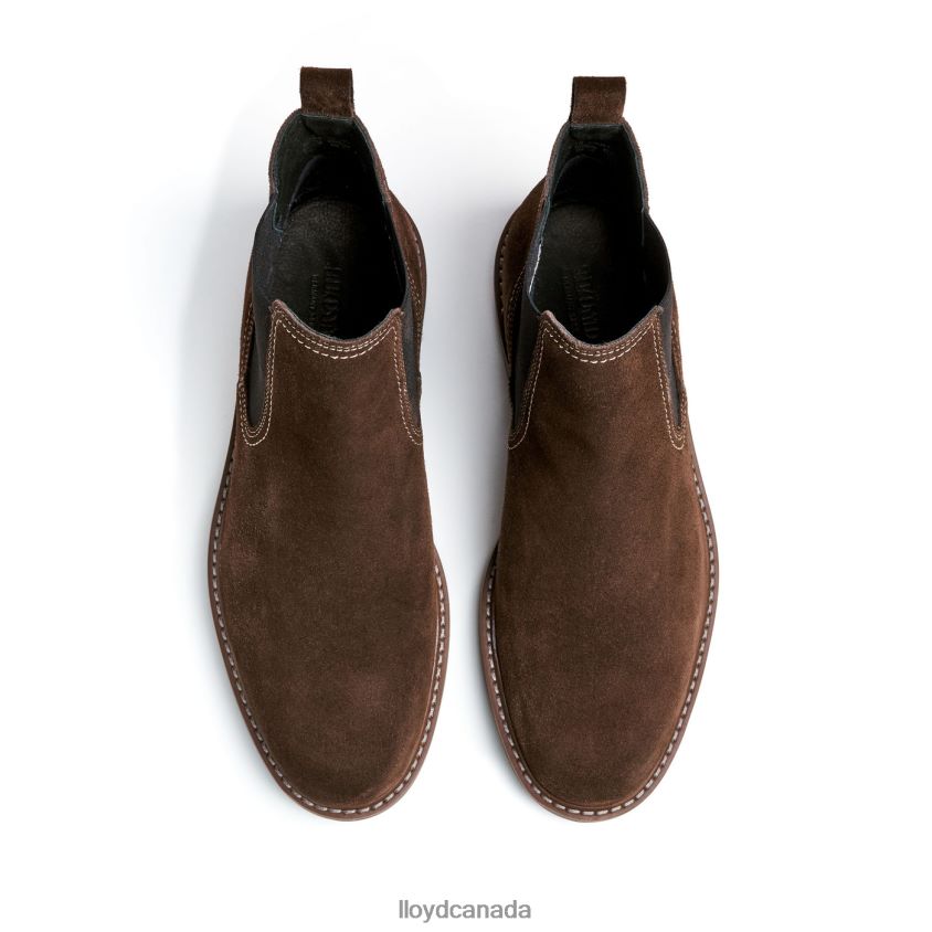 VALLET LLOYD Men brown R084ZF133 Shoes