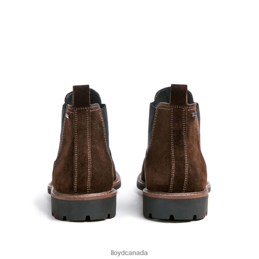 VALLET LLOYD Men brown R084ZF133 Shoes