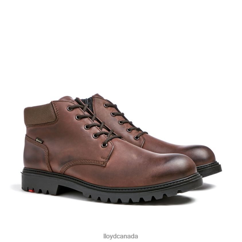 VANCOUVER LLOYD Men brown R084ZF534 Shoes