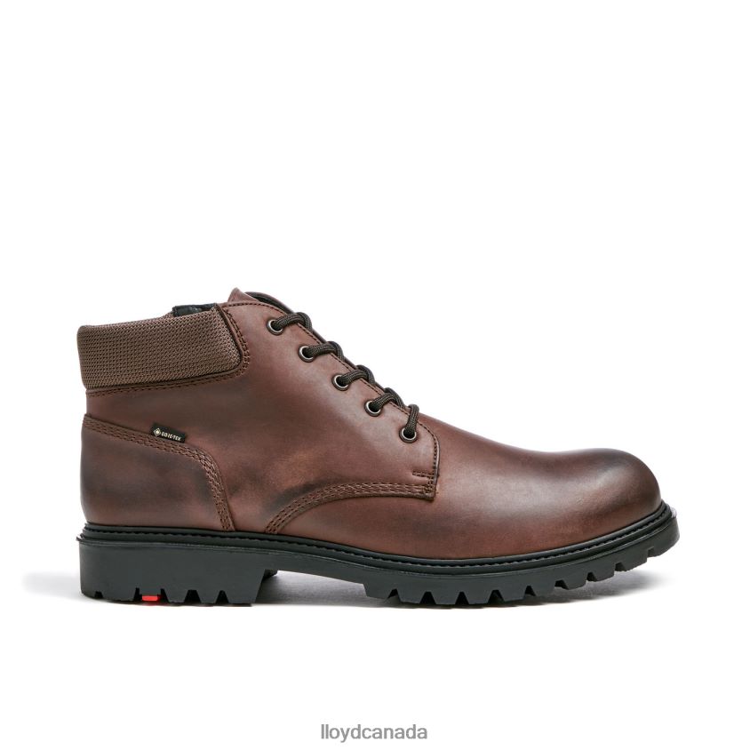 VANCOUVER LLOYD Men brown R084ZF534 Shoes