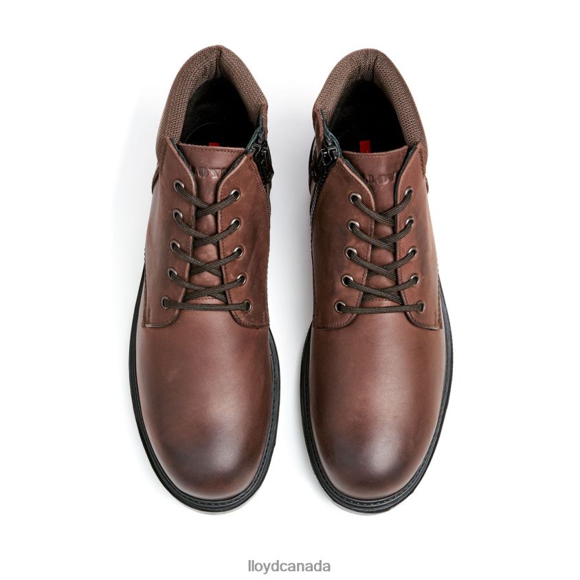 VANCOUVER LLOYD Men brown R084ZF534 Shoes