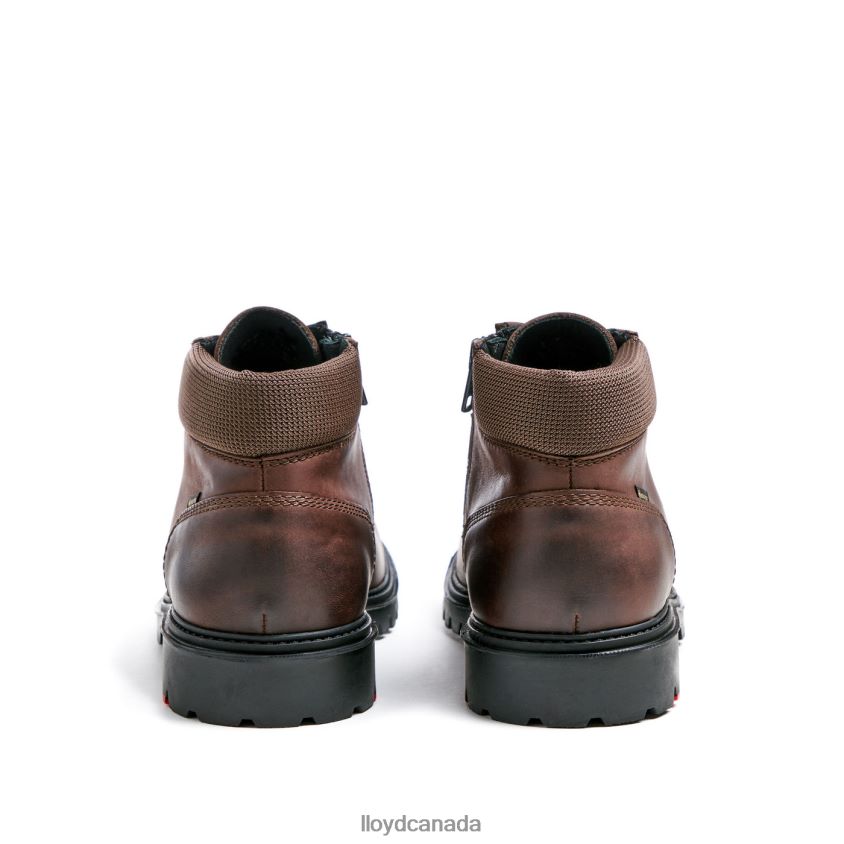 VANCOUVER LLOYD Men brown R084ZF534 Shoes