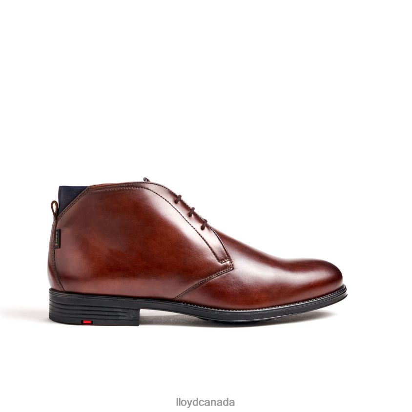 VANE LLOYD Men brown R084ZF131 Shoes