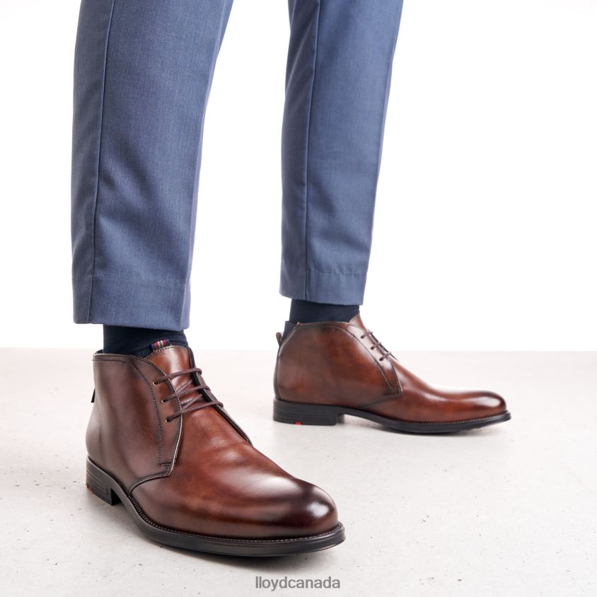 VANE LLOYD Men brown R084ZF131 Shoes