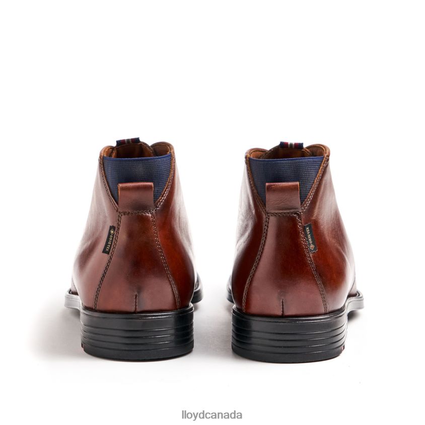 VANE LLOYD Men brown R084ZF131 Shoes