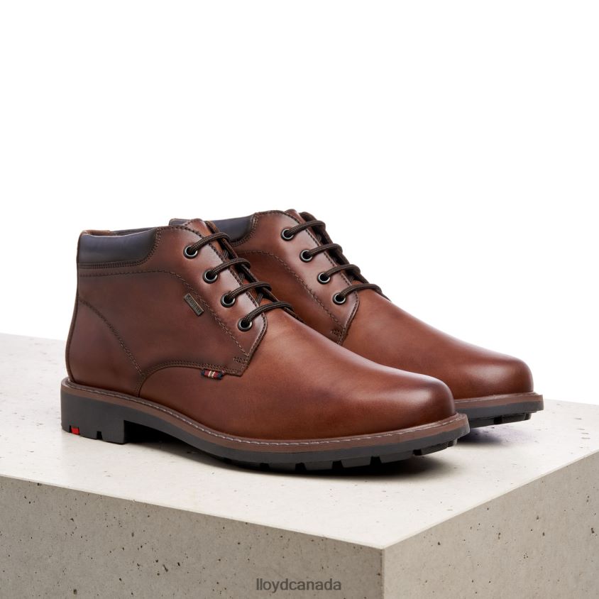 VARLEY LLOYD Men brown R084ZF533 Shoes