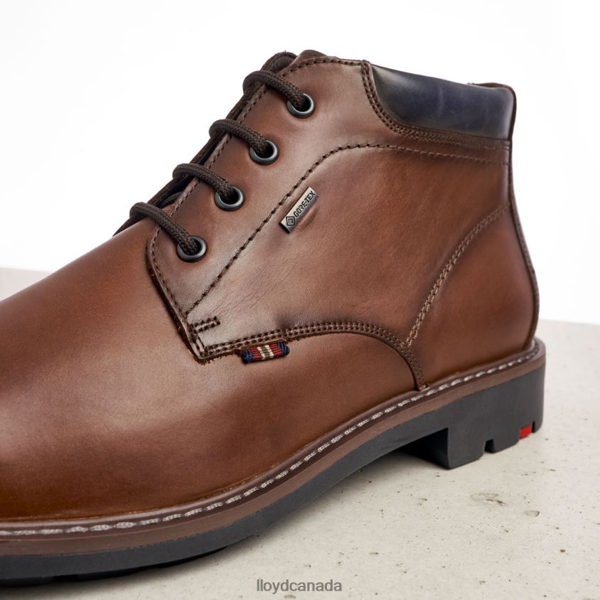 VARLEY LLOYD Men brown R084ZF533 Shoes