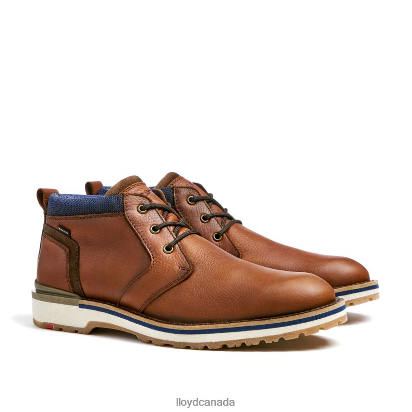 VEGAS LLOYD Men brown R084ZF511 Shoes
