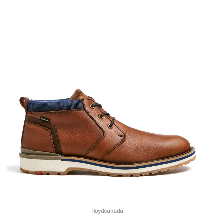 VEGAS LLOYD Men brown R084ZF511 Shoes