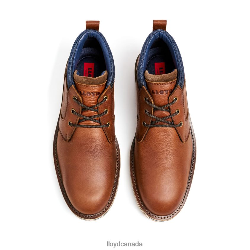 VEGAS LLOYD Men brown R084ZF511 Shoes