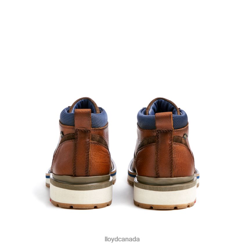VEGAS LLOYD Men brown R084ZF511 Shoes