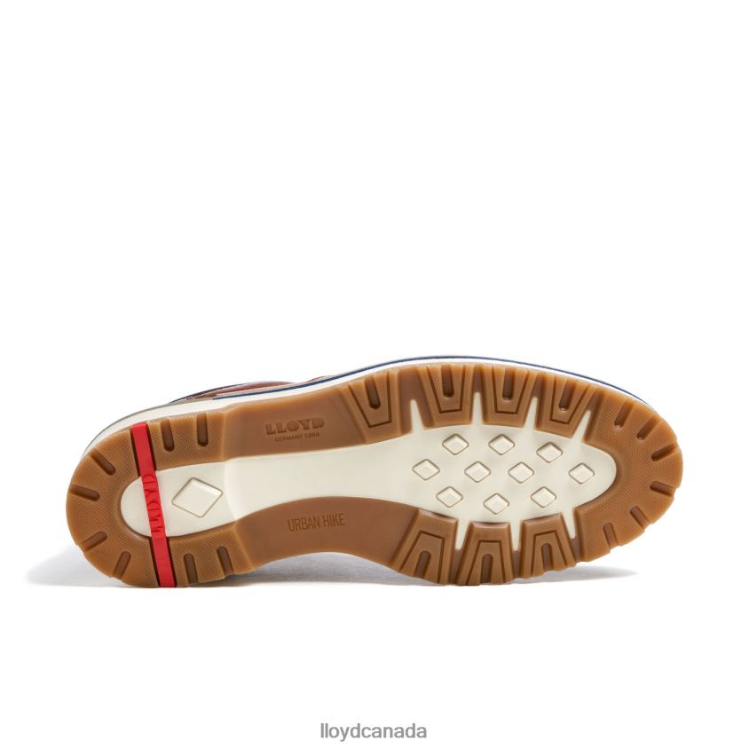 VEGAS LLOYD Men brown R084ZF511 Shoes