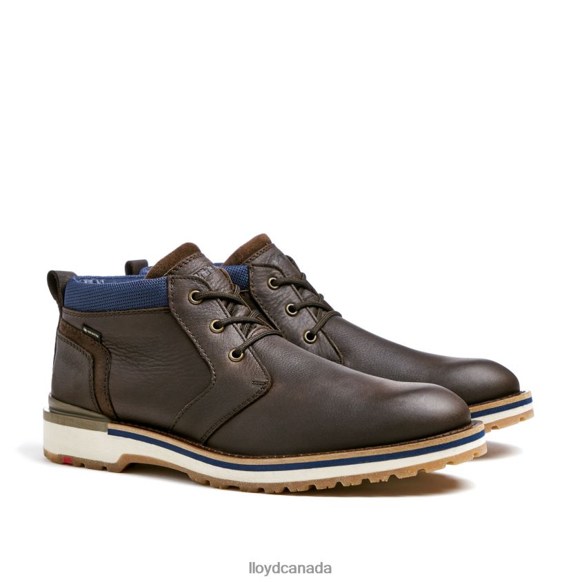 VEGAS LLOYD Men brown R084ZF512 Shoes