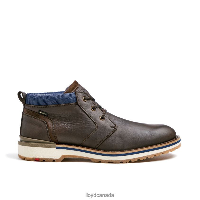 VEGAS LLOYD Men brown R084ZF512 Shoes