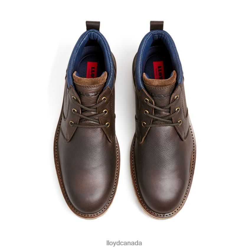 VEGAS LLOYD Men brown R084ZF512 Shoes