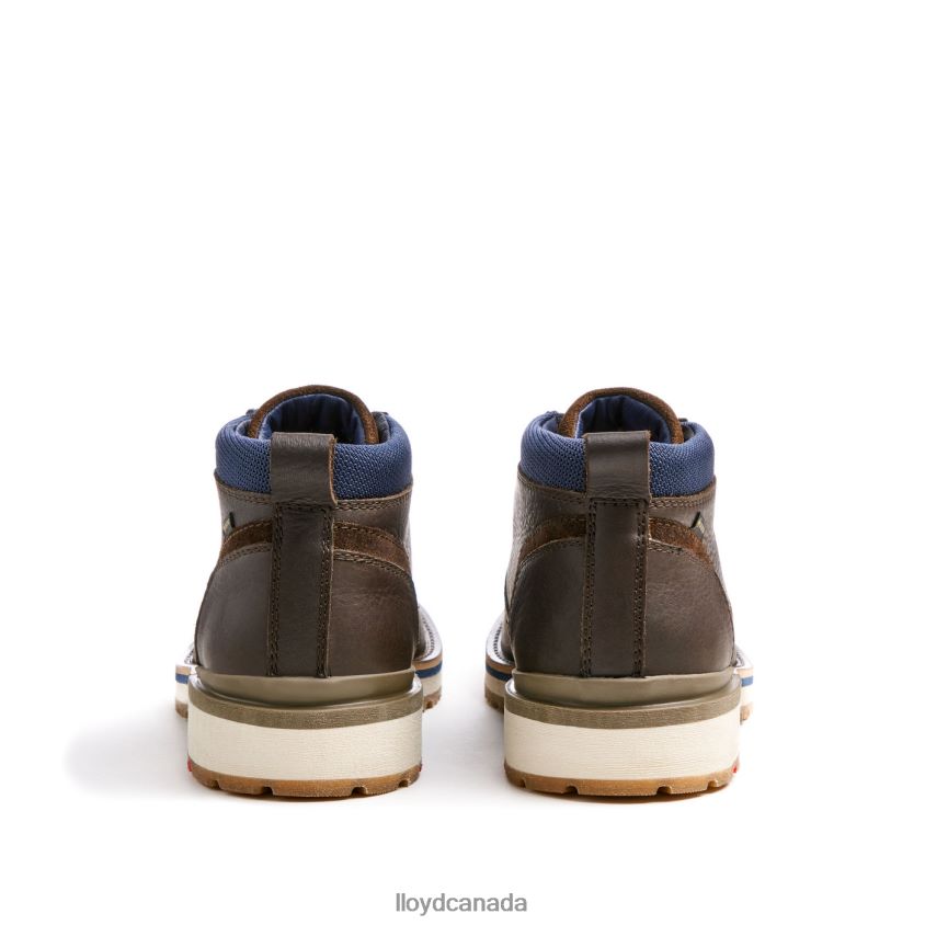 VEGAS LLOYD Men brown R084ZF512 Shoes