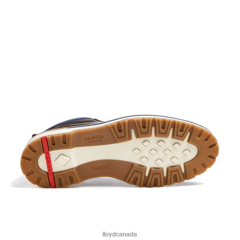 VEGAS LLOYD Men brown R084ZF512 Shoes