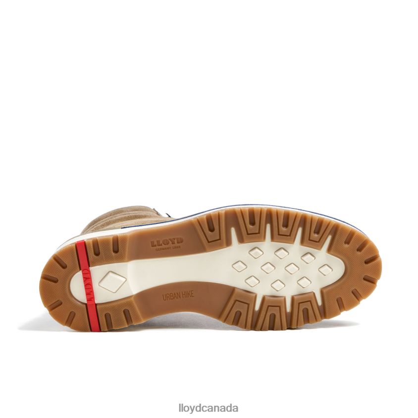 VEIT LLOYD Men beige R084ZF521 Shoes