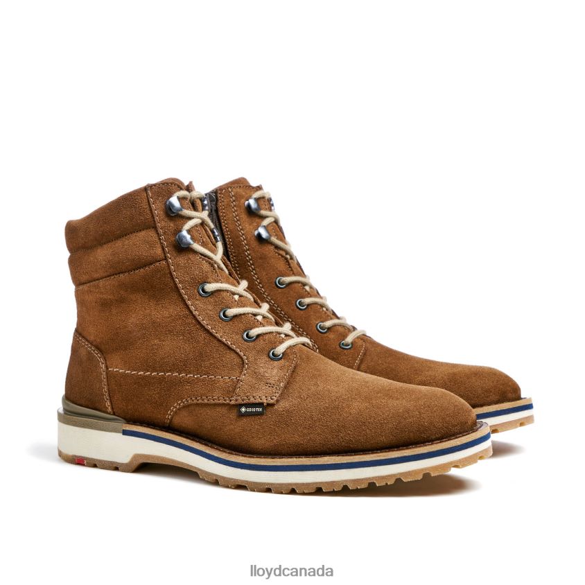 VEIT LLOYD Men brown R084ZF520 Shoes