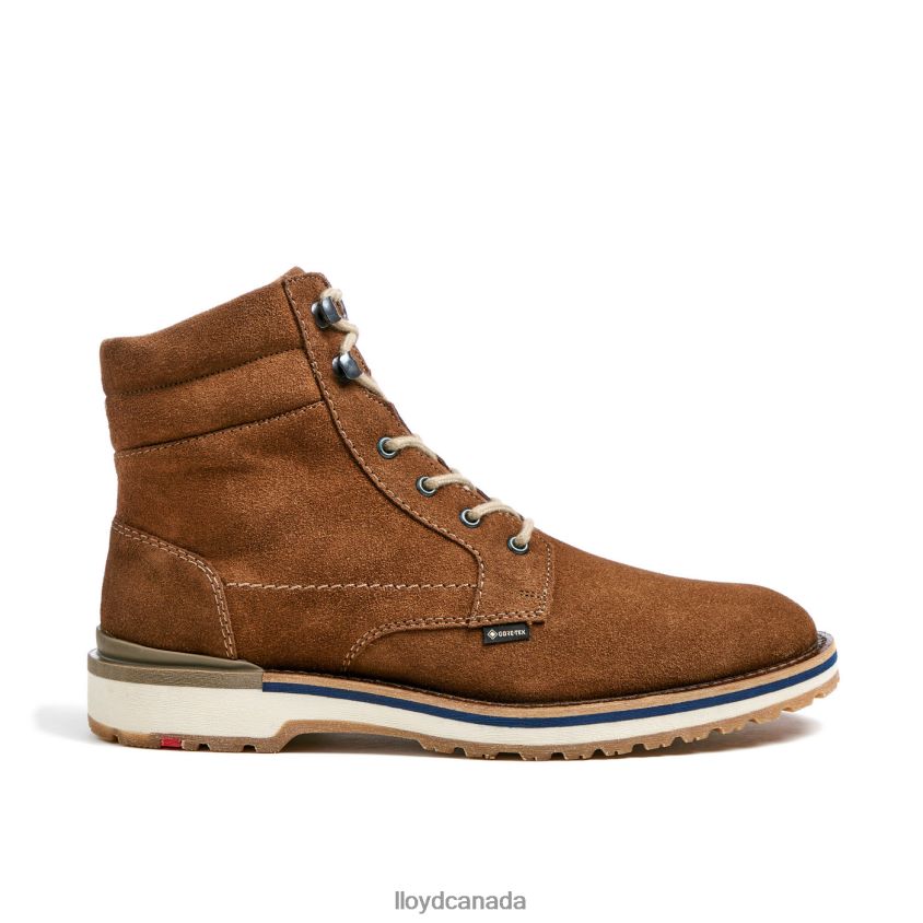 VEIT LLOYD Men brown R084ZF520 Shoes