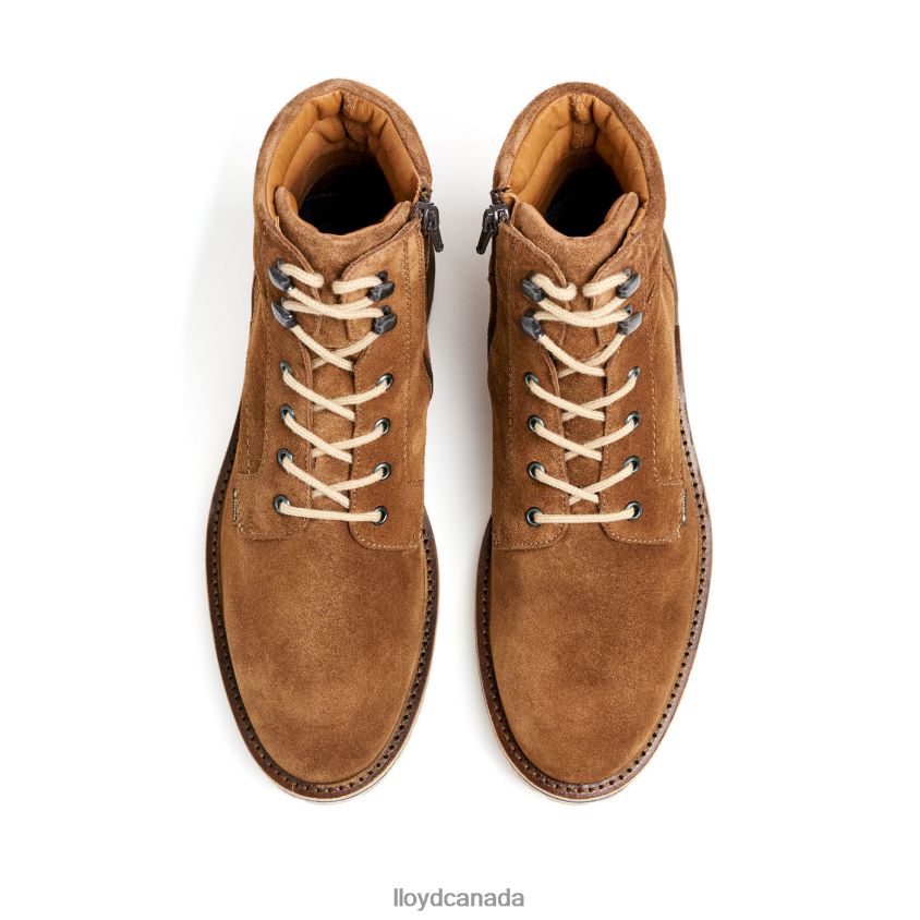 VEIT LLOYD Men brown R084ZF520 Shoes