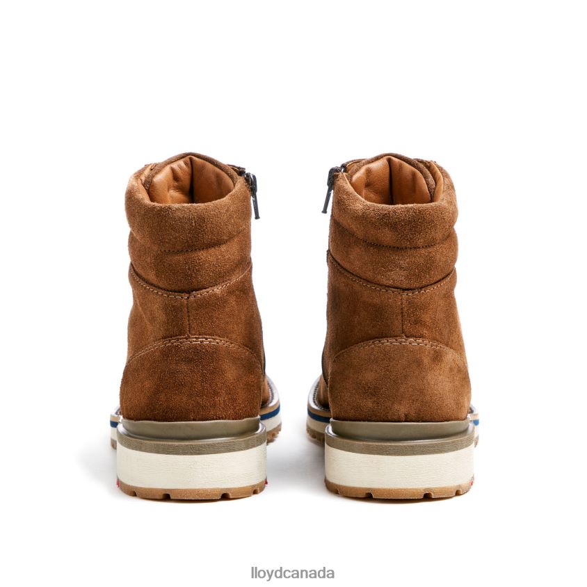 VEIT LLOYD Men brown R084ZF520 Shoes