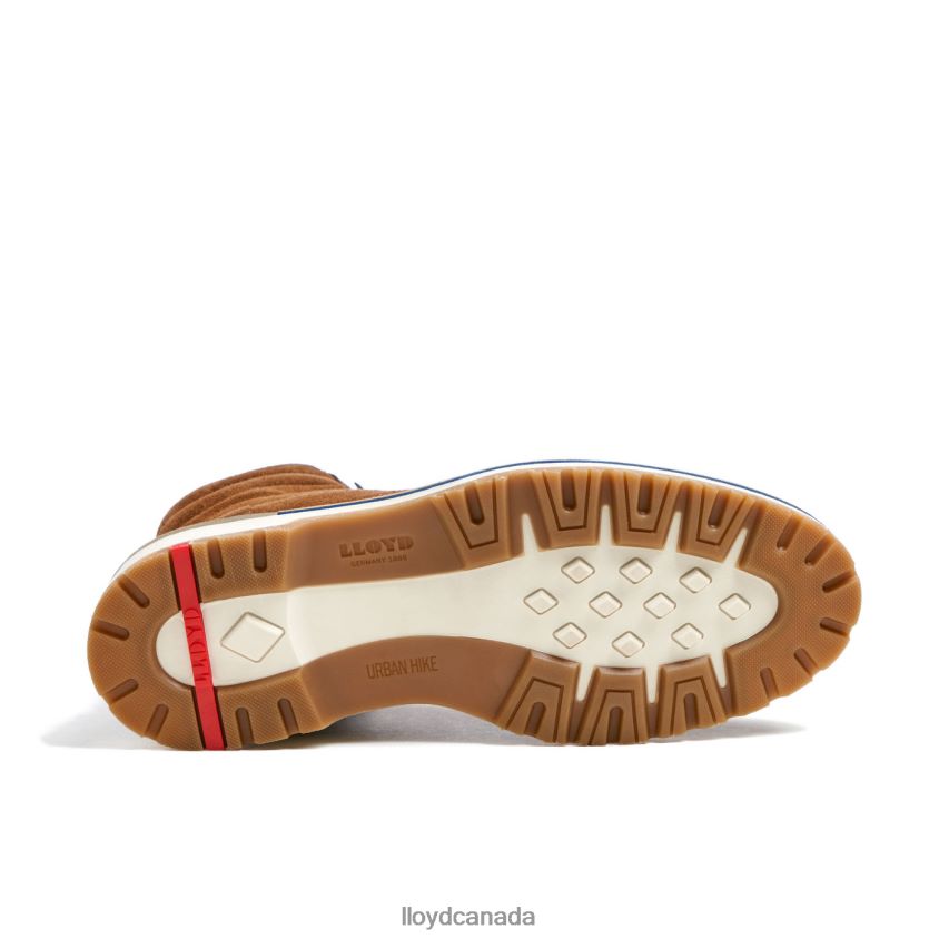 VEIT LLOYD Men brown R084ZF520 Shoes