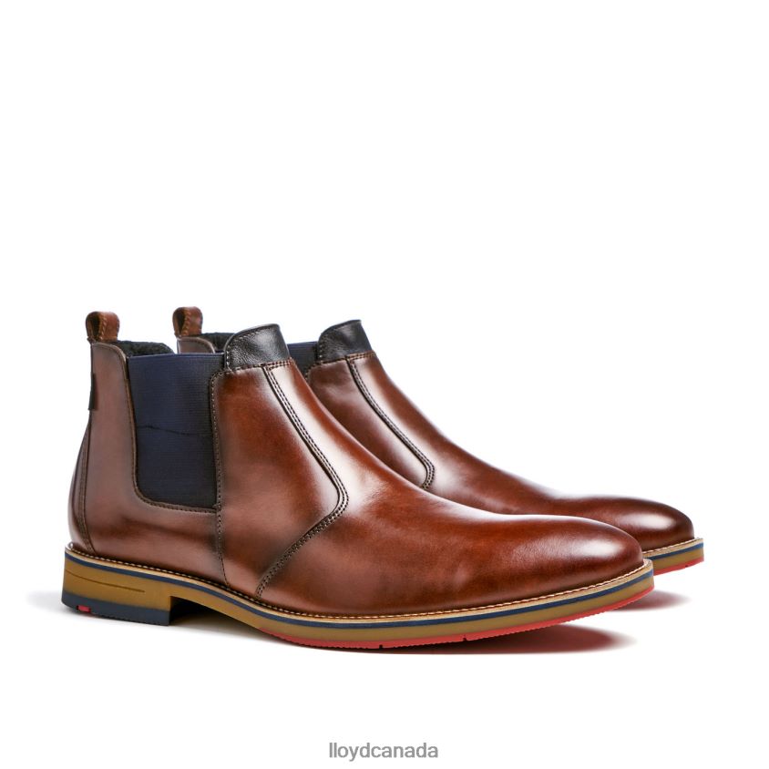VESUV LLOYD Men brown R084ZF145 Shoes