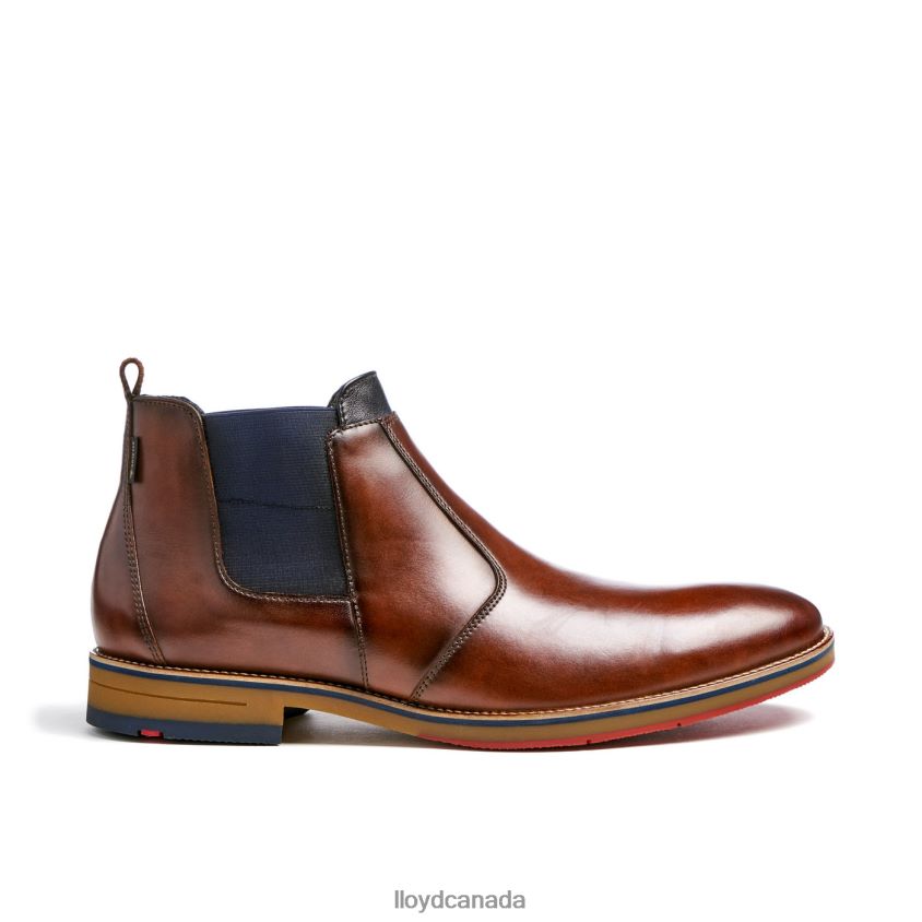VESUV LLOYD Men brown R084ZF145 Shoes