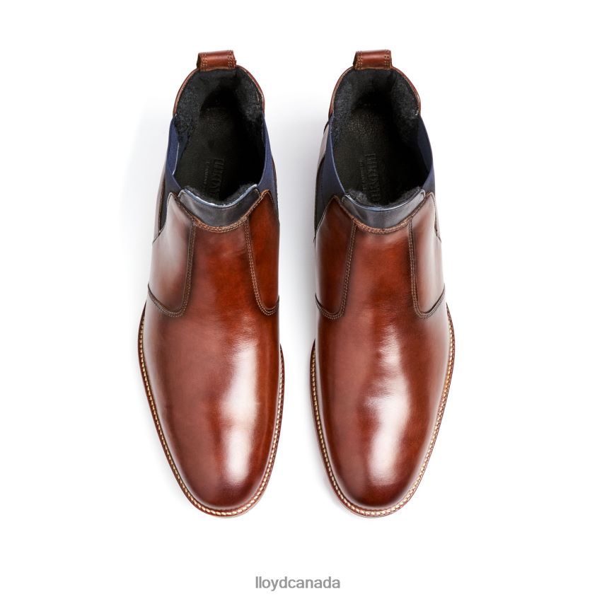VESUV LLOYD Men brown R084ZF145 Shoes
