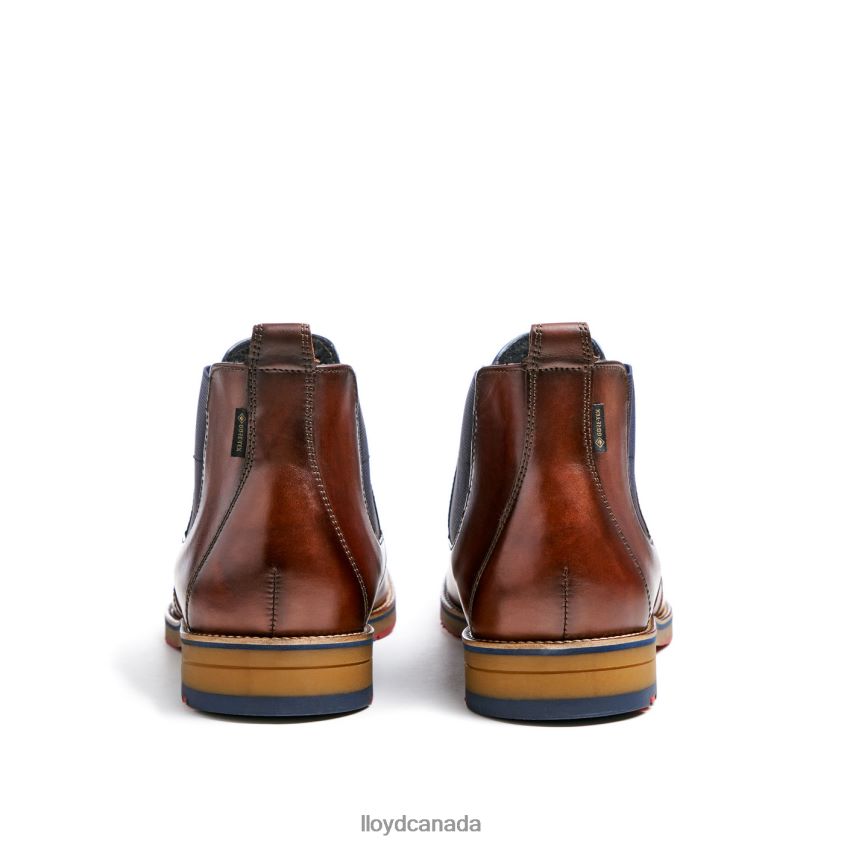 VESUV LLOYD Men brown R084ZF145 Shoes