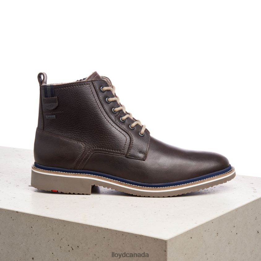 VIDAL LLOYD Men brown R084ZF518 Shoes