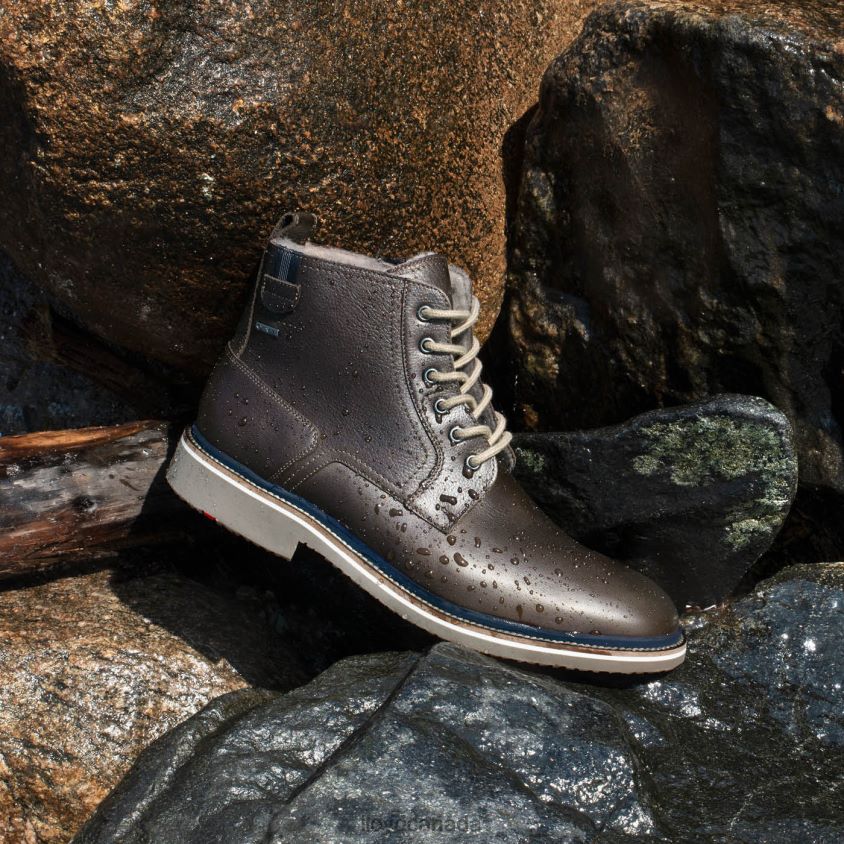 VIDAL LLOYD Men brown R084ZF518 Shoes